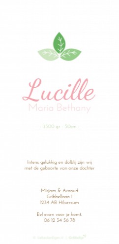 Geboortekaartje Lucille - GB achter