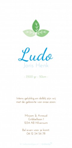 Geboortekaartje Ludo - GB achter