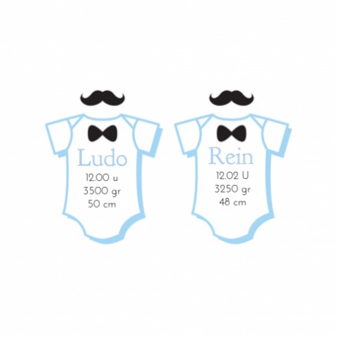 Geboortekaartje Ludo-Rein - Gb