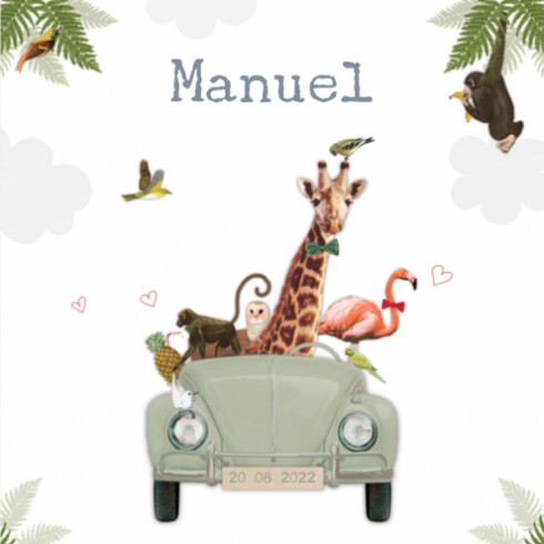 Geboortekaartje met jungle dieren in Volkswagen auto