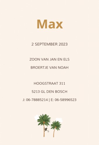 Geboortekaartje Max - LK achter