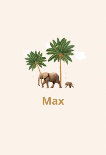 Geboortekaartje Max - LK voor