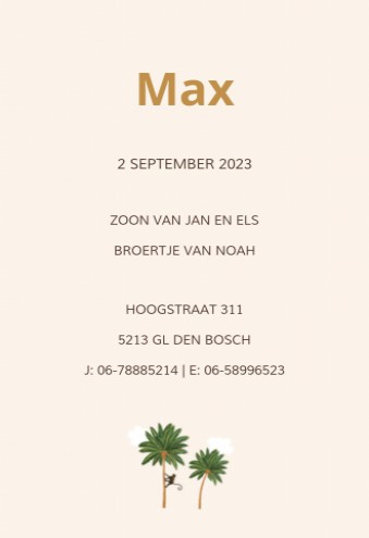 Geboortekaartje Max variant - LK achter