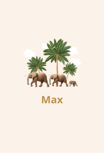 Geboortekaartje Max variant - LK voor
