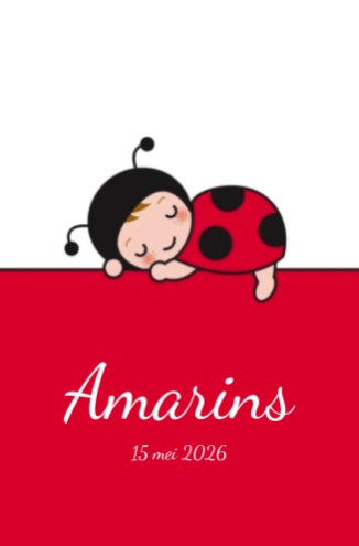 Geboortekaartje meisje met lieveheersbeestje enkel - Amarins