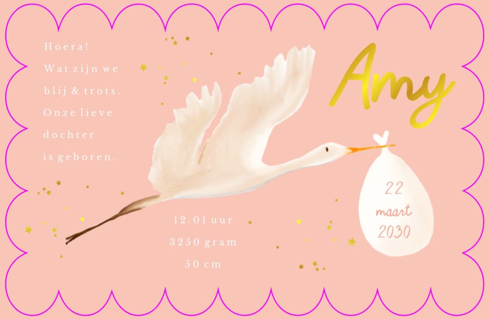 Geboortekaartje meisje ooievaar klassiek stijlvol en trendy - Amy