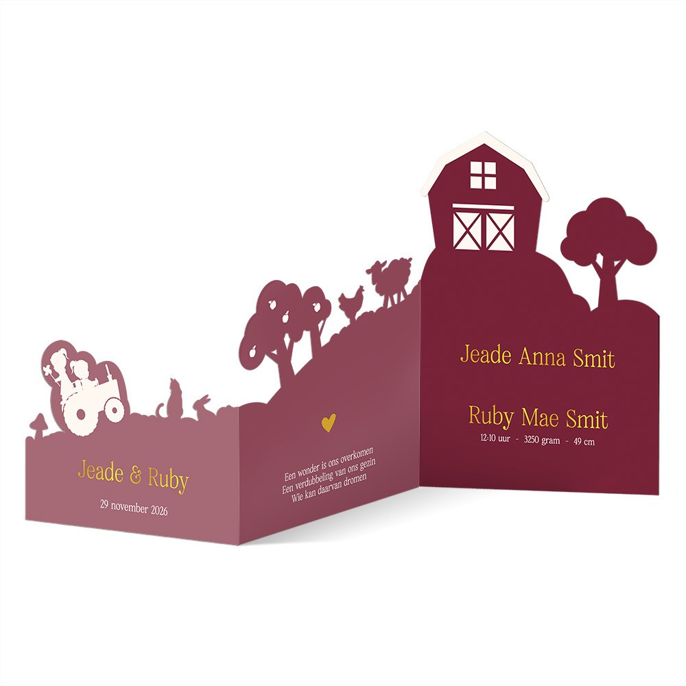 Tweeling geboortekaartje in boerderij 3d vorm met lieve zusjes - Jaede en Ruby