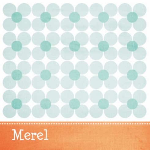 Geboortekaartje Merel - Made4