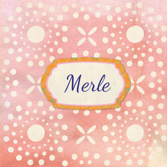 Geboortekaartje Merle - ZW