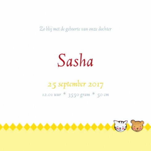 Geboortekaartje Sasha - JH binnen