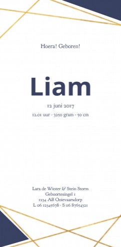 Geboortekaartje met goud uitstraling - Liam