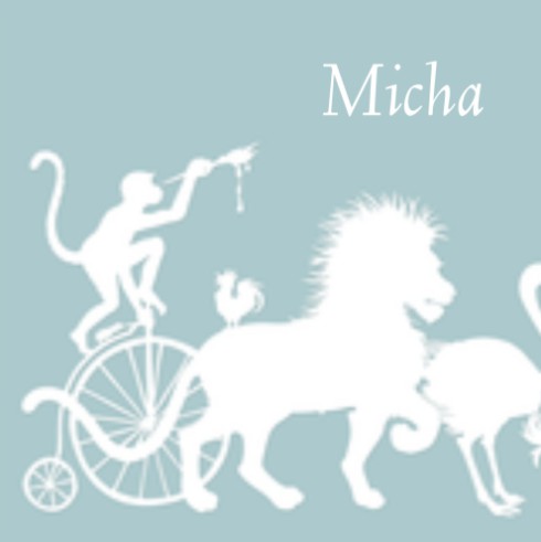 Geboortekaartje Micha - GA achter