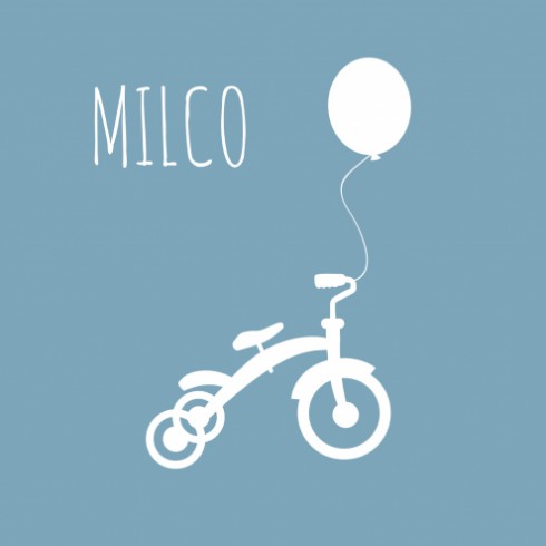 Geboortekaartje - Milco - DIY