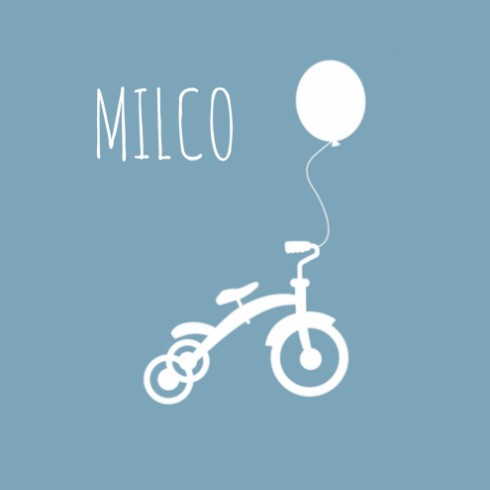 Geboortekaartje - Milco - SC