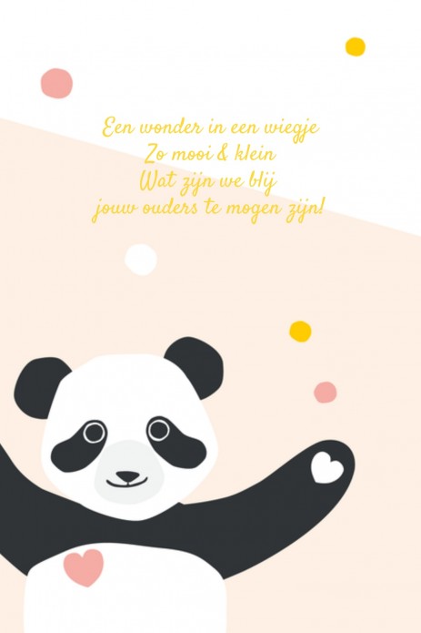Geboortekaartje panda Mina - HK binnen