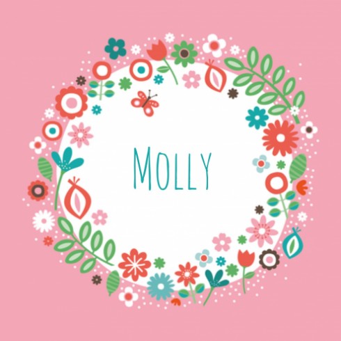 Geboortekaartje Molly - ZW