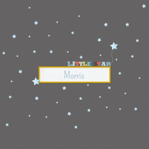 Geboortekaartje - Morris DZ