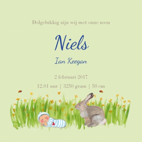 Geboortekaartje Niels - EB