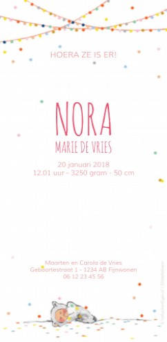 Geboortekaartje Nora - EB achter
