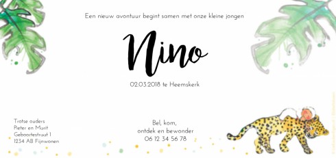Geboortekaartje - Nino - EB achter