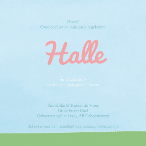 Geboortekaartje olifant Halle - JH