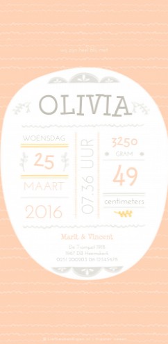 Geboortekaartje Olivia - CV achter