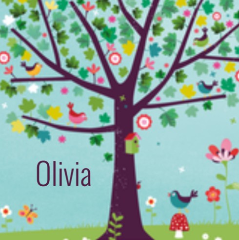 Geboortekaartje Olivia drieluik - ZW binnen