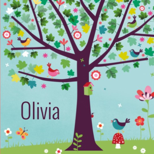 Geboortekaartje Olivia - ZW voor