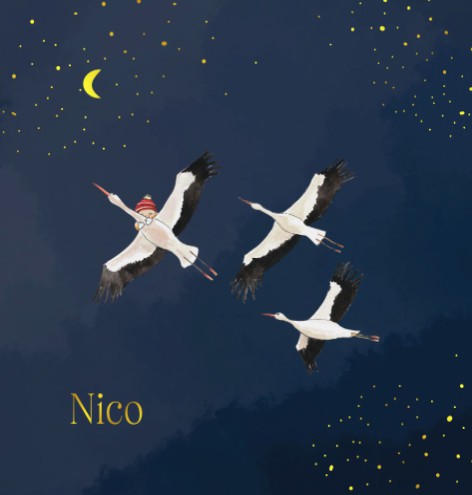 Geboortekaartje ooievaar voor een zoon met nachtblauwe sky - Nico