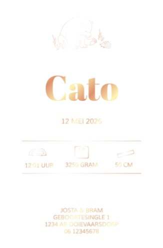 Geboortekaartje op kalkpapier met lieve beer - Cato