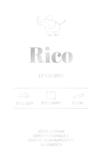 Geboortekaartje op kalkpapier met lieve olifant - Rico