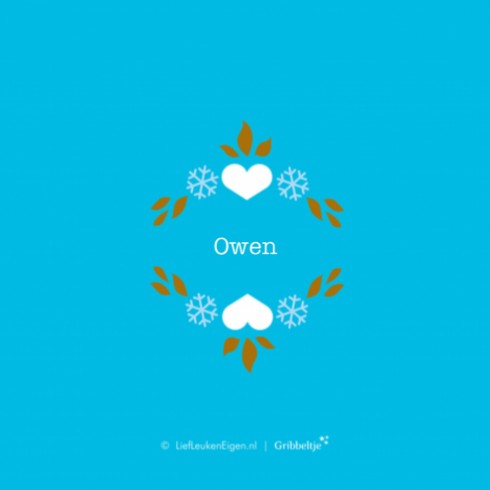 Geboortekaartje Owen - Gb binnen