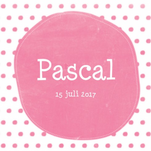 Geboortekaartje Pascal watercolor - LD