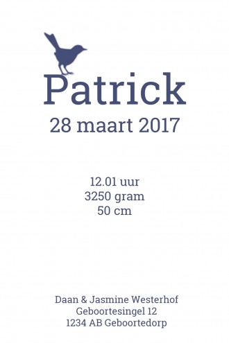 Geboortekaartje Patrick - GA