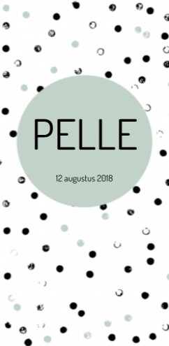 Geboortekaartje Pelle - ZZ voor