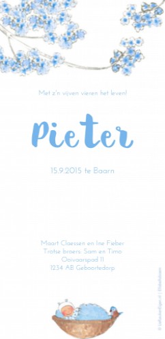 Geboortekaartje Pieter - EB achter