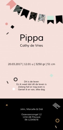 Geboortekaartje Pippa - met foto achter