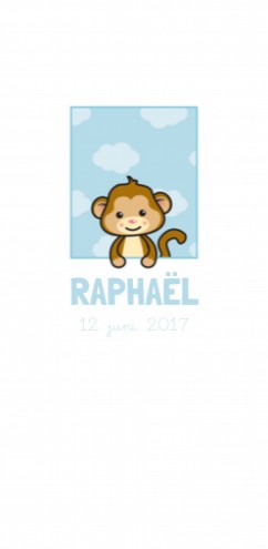 Geboortekaartje Raphael - GB voor