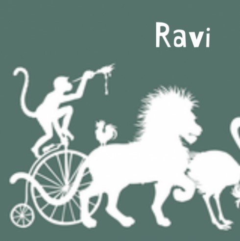 Geboortekaartje Ravi - GA achter