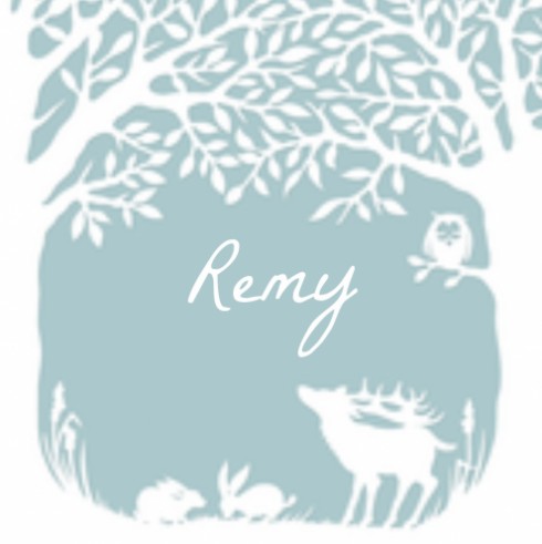 Geboortekaartje Remy - GA achter