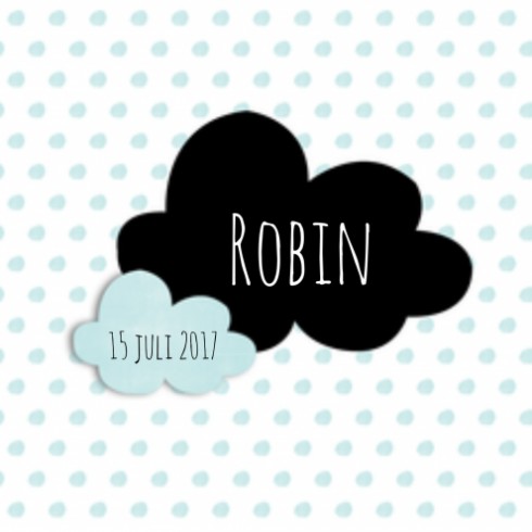 Geboortekaartje Robin wolkjes - LD