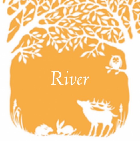 Geboortekaartje River - GA