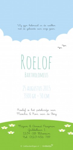 Geboortekaartje Roelof - GB