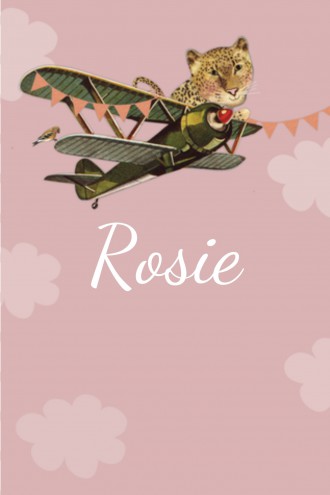 Geboortekaartje Rosie - LK voor