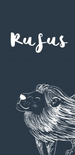 Geboortekaartje Rufus  -  DIY