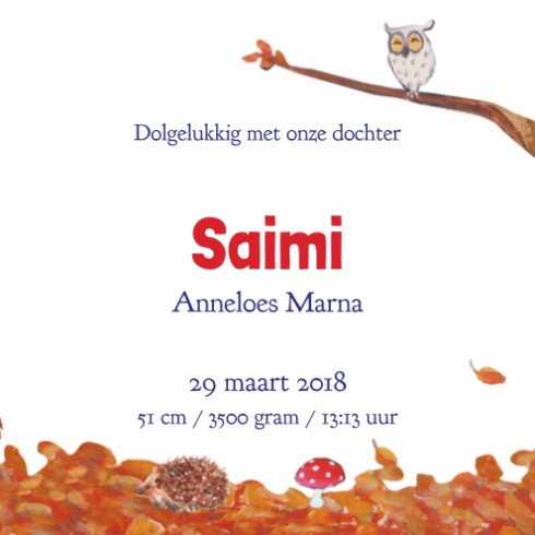 Geboortekaartje Saimi - EB
