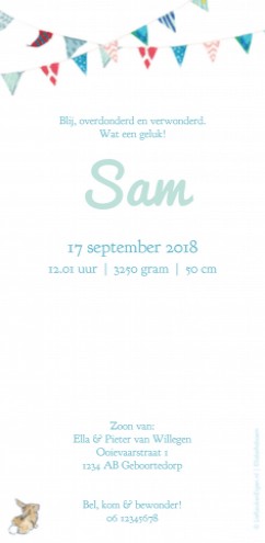 Geboortekaartje Sam - EB achter