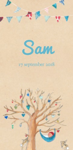 Geboortekaartje Sam - EB