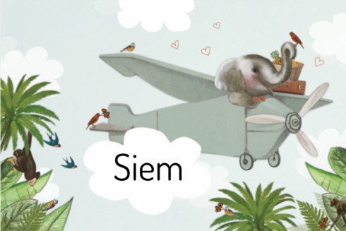 Geboortekaartje met olifant en vliegtuigje - Siem - LK
