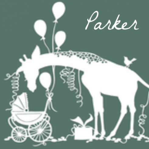 Geboortekaartje silhouette - Parker achter